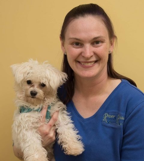 Veterinarian in Orrington, ME 04474 | River Road Veterinary Hospital