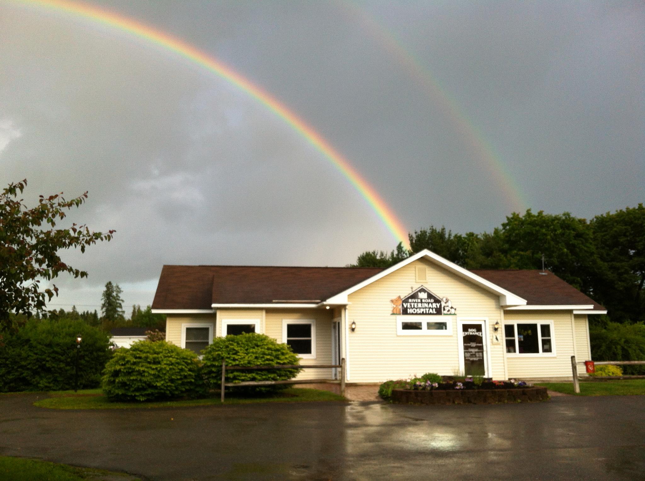 River road store animal hospital hours