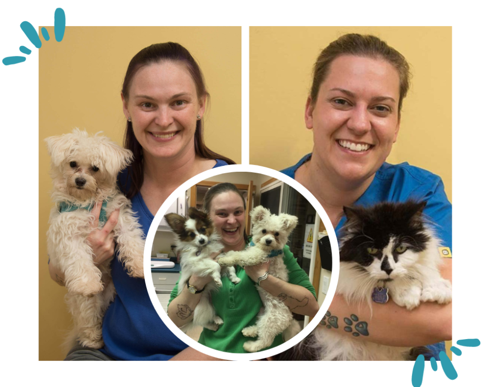 Best Veterinary Hospital in Orrington, ME | River Road